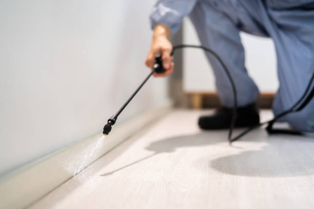 Professional exterminator conducting IPM assessment in Lake LeAnn