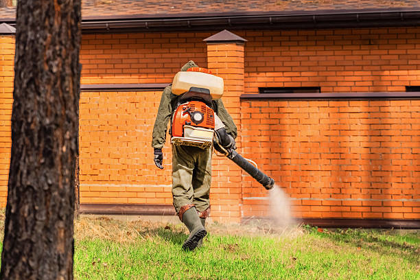 Top rated local Wasp Removal specialists in Lake LeAnn, MI